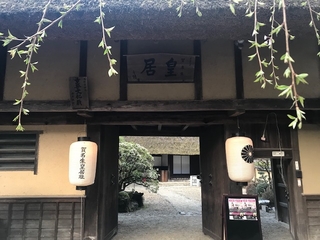 RICO YUZEN, Asian Tour, Spring 2019 ! Part 1_a0385974_19474651.jpg