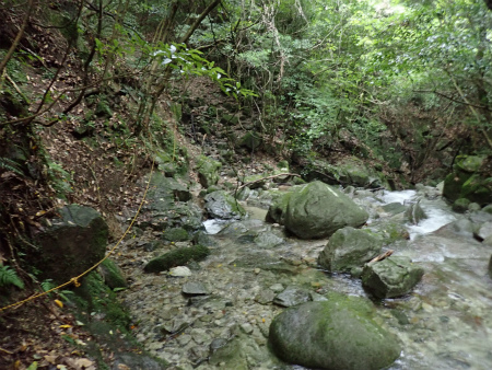 d0182075_01021137.jpg