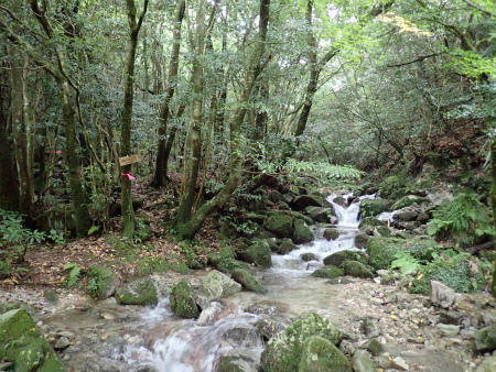 d0182075_01024108.jpg