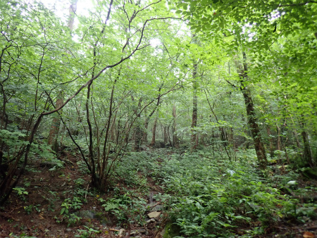d0182075_01025298.jpg