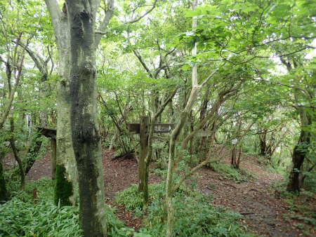 d0182075_01041158.jpg