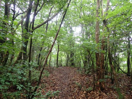 d0182075_01041962.jpg