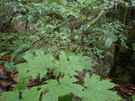 d0182075_01070641.jpg