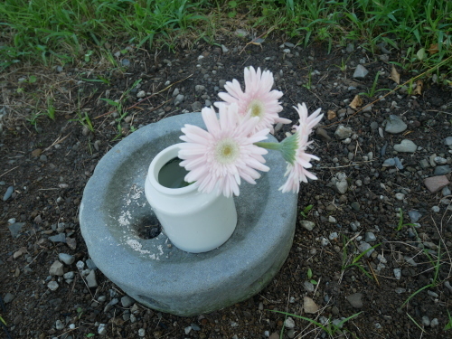 f0054677_07574043.jpg