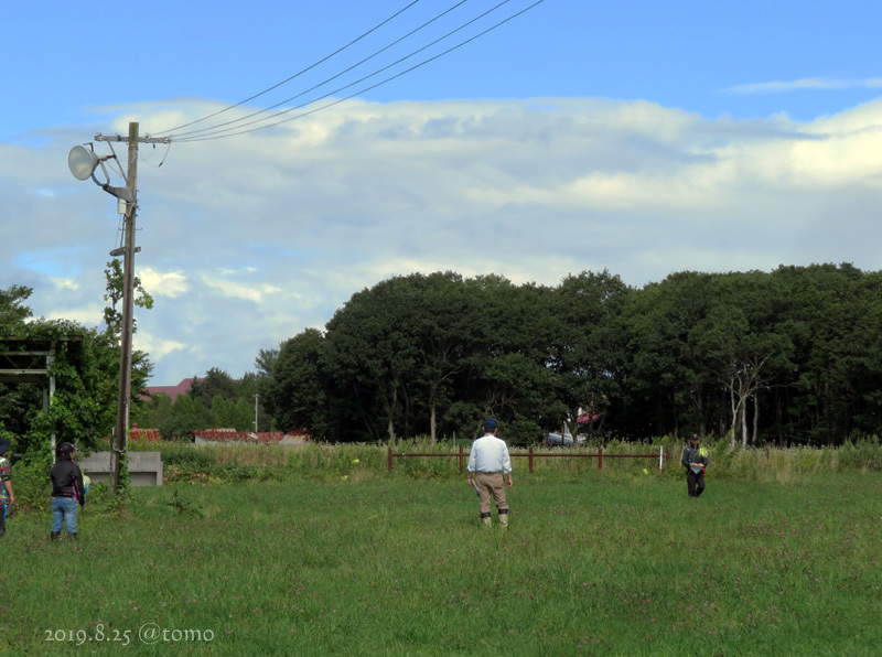 PD北海道訓練ﾁｬﾝﾋﾟｵﾝ決定競技会_f0067179_11174544.jpg