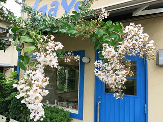 e0130185_2316201.jpg