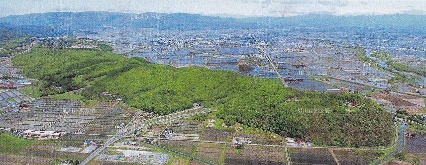 突哨山 とっしょうざん を紹介します 突哨山 とっしょうざん 花ごよみ