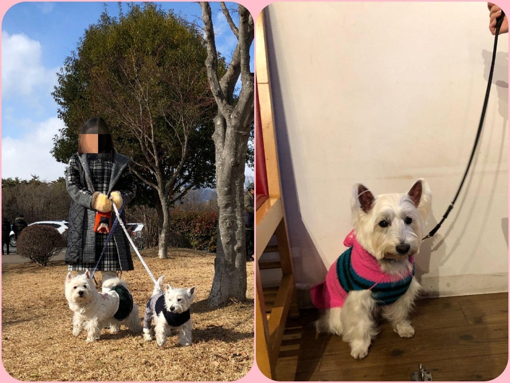 那須ガーデンアウトレットでゆきちゃんと 19 1 2 水 ウエスティ こじろお じゅにあ Kj です Jk 女子高生 じゃないよ 那須ガーデンアウトレットでゆきちゃんと 19 1 2 水 ウエスティ こじろお じゅにあ Kj です Jk 女子高生 じゃないよ