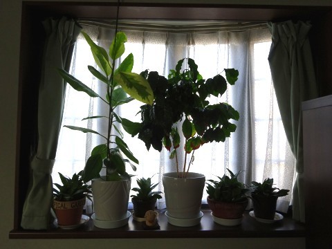 c0322794_00020588.jpg