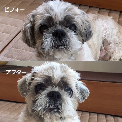 週末あれこれ~。_f0372998_18143699.jpg