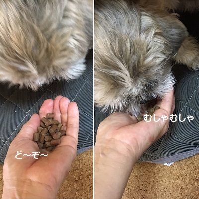 週末あれこれ~。_f0372998_18154529.jpg
