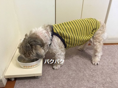 週末あれこれ~。_f0372998_18192118.jpg