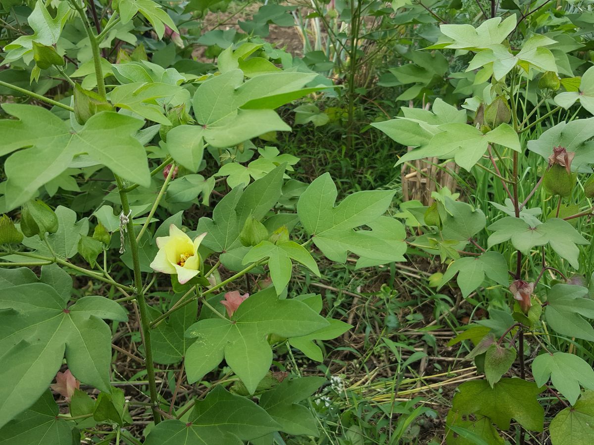 c0228804_23433746.jpg