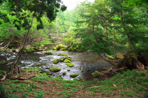a0263109_23072140.jpg