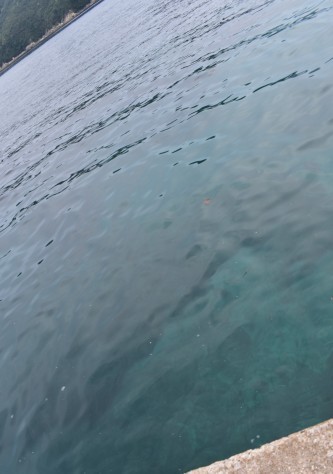 e0148909_21012447.jpg