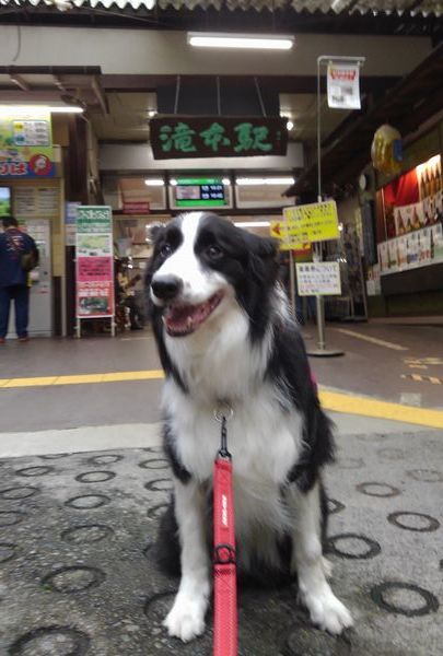 お供で御岳山_d0224111_20512120.jpg