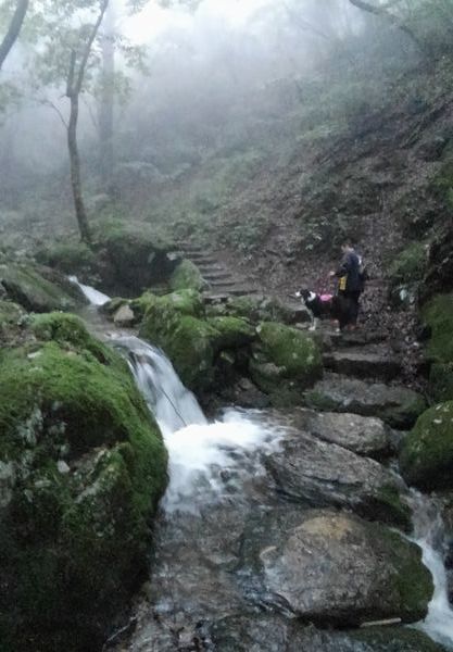 お供で御岳山_d0224111_20552593.jpg