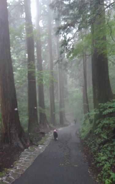 お供で御岳山_d0224111_20592820.jpg