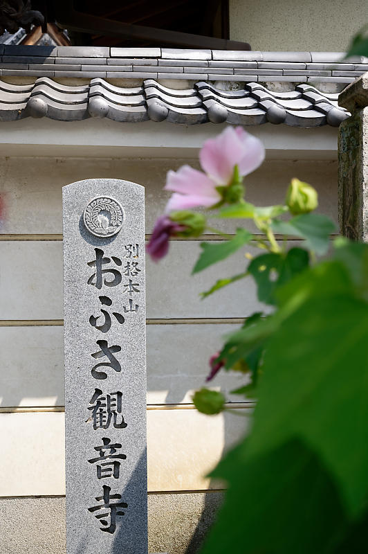 風鈴祭り@おふさ観音寺_f0032011_18275943.jpg