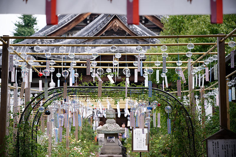 風鈴祭り@おふさ観音寺_f0032011_18280012.jpg