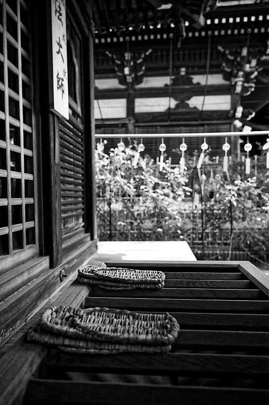 風鈴祭り@おふさ観音寺_f0032011_18342999.jpg
