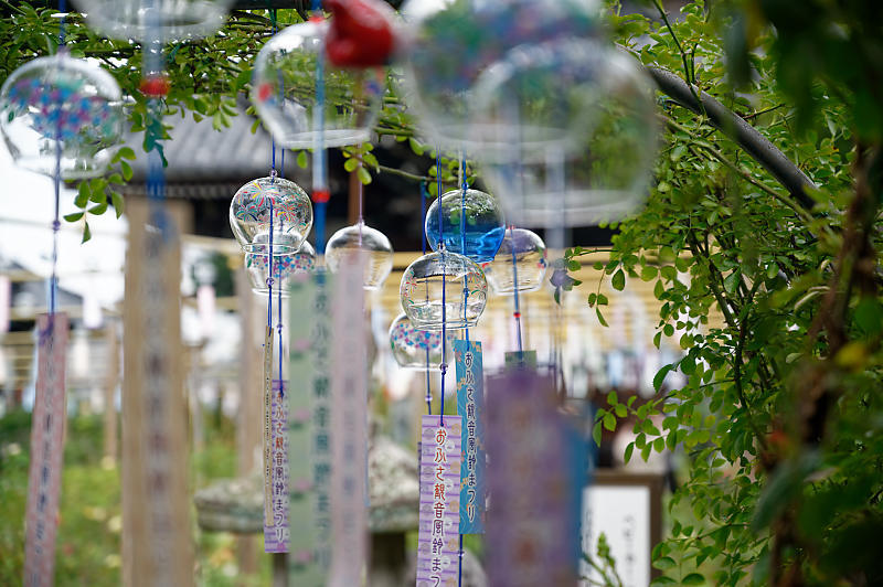 風鈴祭り@おふさ観音寺_f0032011_19013830.jpg