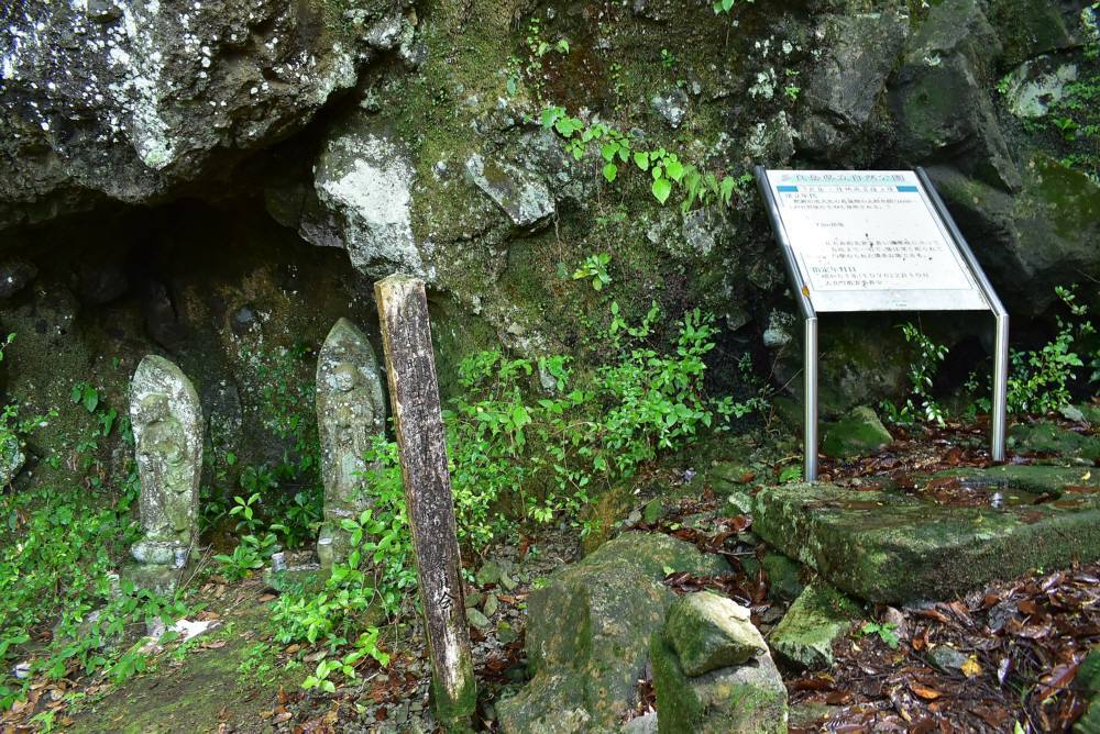 多良岳のキツネノカミソリ鑑賞登山_f0212511_21580886.jpg