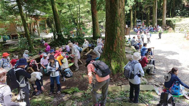 多良岳のキツネノカミソリ鑑賞登山_f0212511_21585662.jpg