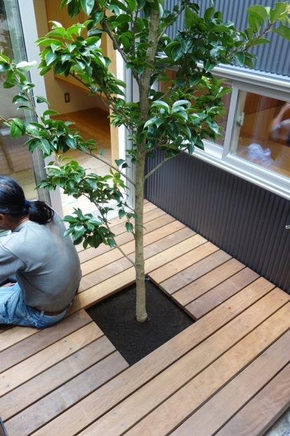 「荒川の家Ⅲ」樹種_b0142417_16210059.jpg