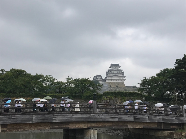 雨の姫路城 マリカの野草画帖