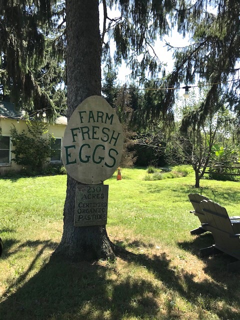 d0269832_19361098.jpeg