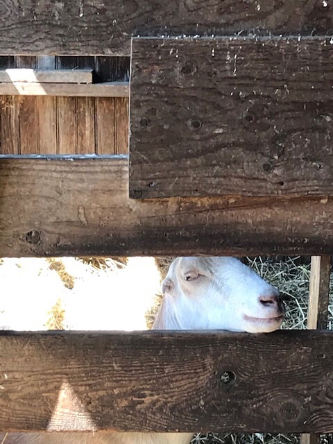 d0269832_19412076.jpeg