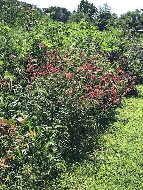 d0269832_19415640.jpeg