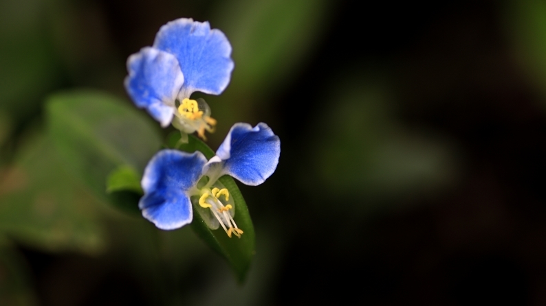 d0060435_15574246.jpg