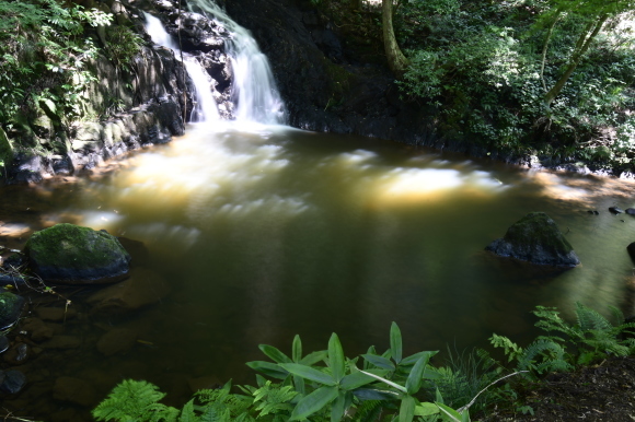 c0093046_19004927.jpg