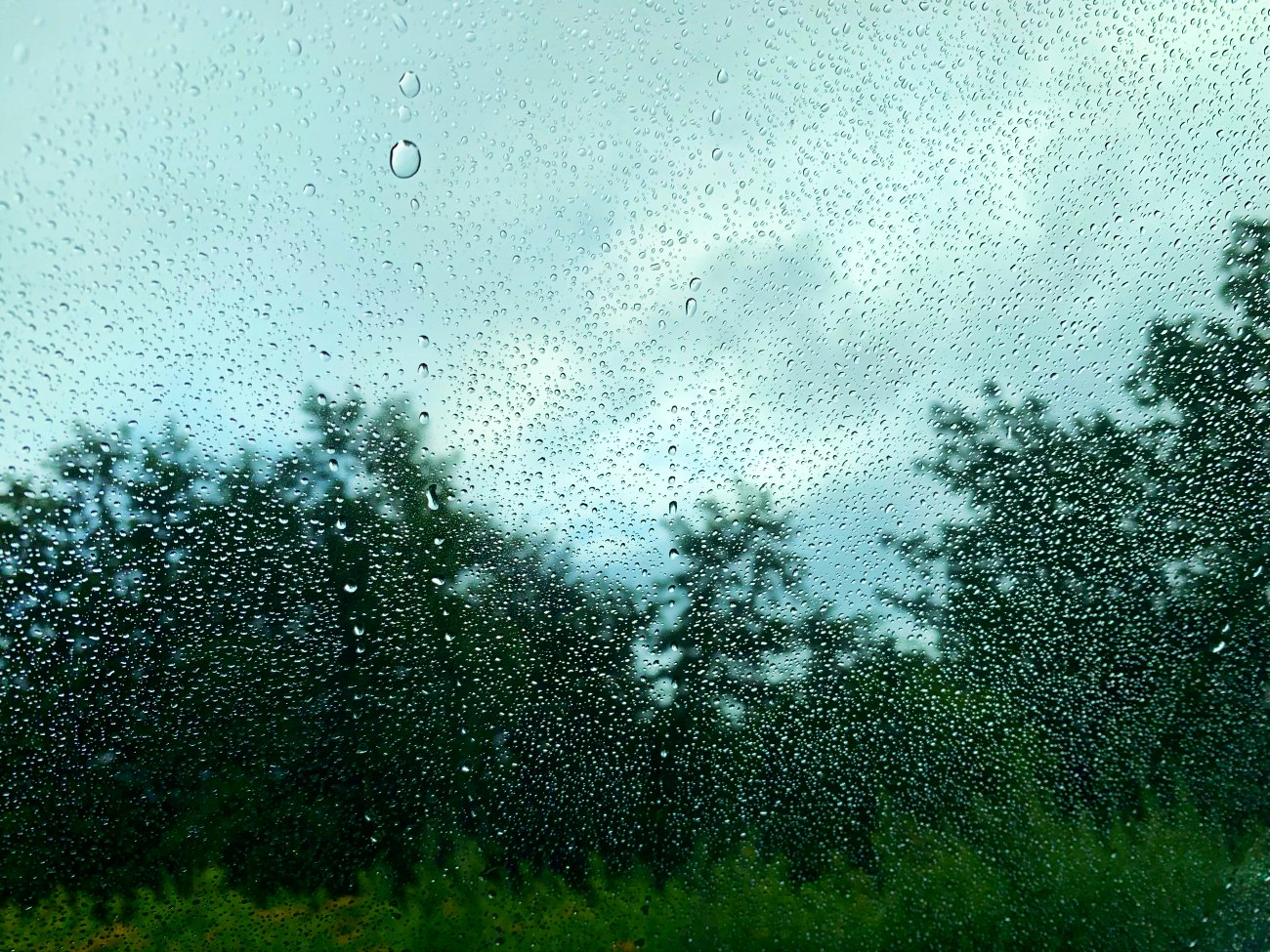e0105954_75781.jpg