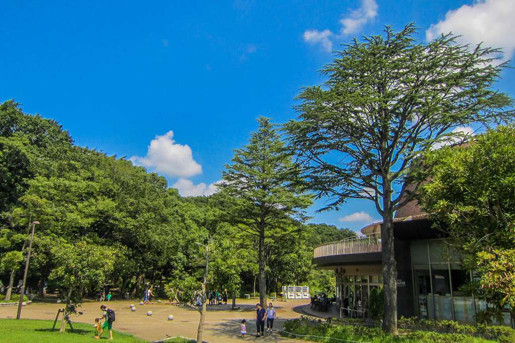 ナンバンギセル_f0044056_13585204.jpg