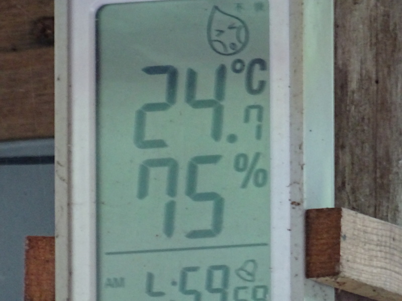 c0108460_14210292.jpg