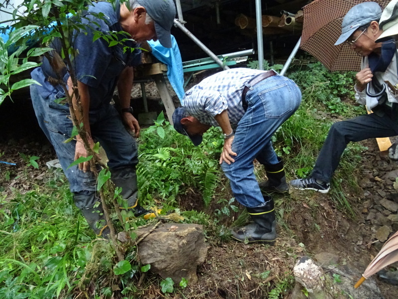 c0108460_14241582.jpg