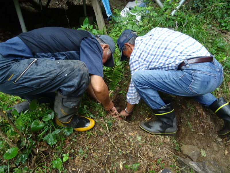 c0108460_14241627.jpg
