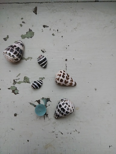 c0172261_12411053.jpg