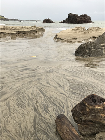 b0215871_14093915.jpg