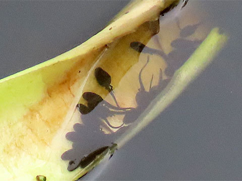 f0083977_06383523.jpg
