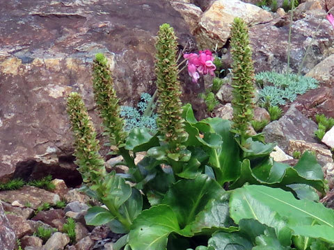 f0083977_06480120.jpg