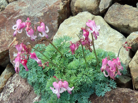 f0083977_06480123.jpg