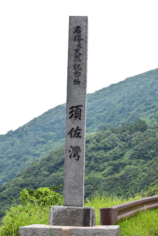 d0061579_7315453.jpg