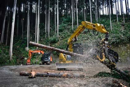 石谷家住宅での婚礼前撮りだったんで2日続けての智頭町........_b0194185_18223463.jpg