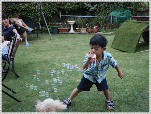 孫たちの、大分5泊6日の夏休み その6 2号君と大の楽しそうな顔、人間と犬を超えてるよ~\(>∀<)/_b0175688_22145674.gif