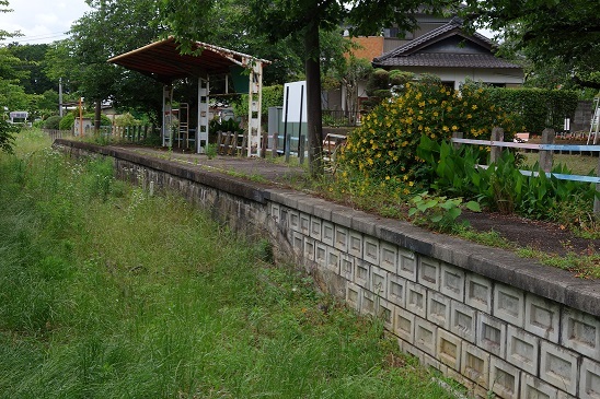 f0217507_20035700.jpg