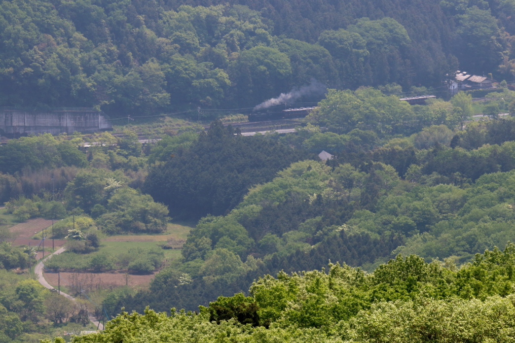 新緑の中の汽車は来春は見られない - 2019年春・秩父鉄道 -_b0190710_21452305.jpg